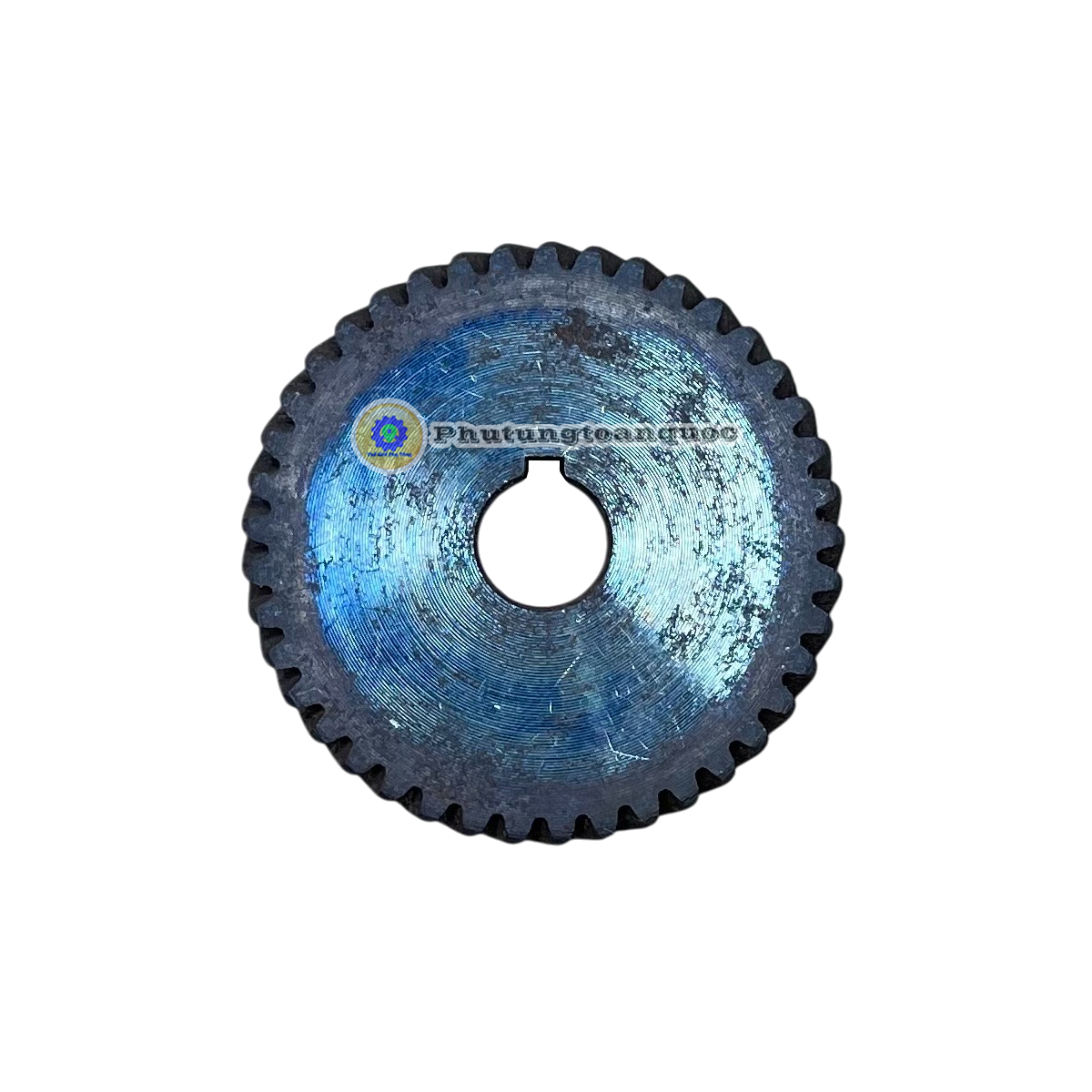 Bánh răng 10x46x41r (1)